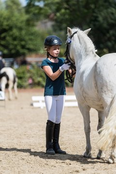 Bild 63 - Pony Akademie Turnier